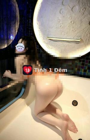 Nhím – ảnh