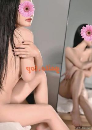 Mèo – ảnh