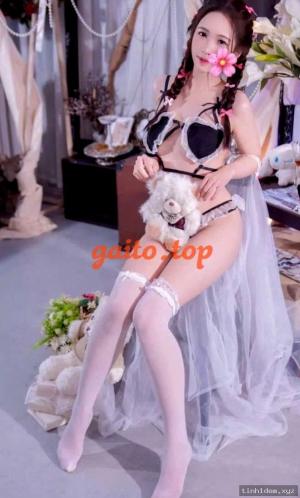 Mèo – ảnh